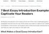 What are Different Essay Introduction Examples to Show Different Strategies