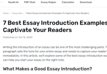 What are Different Essay Introduction Examples to Show Different Strategies